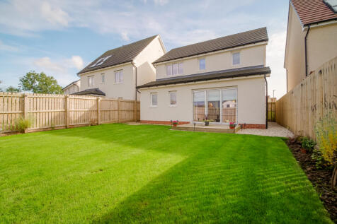 Back garden