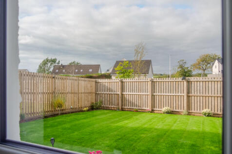 Back garden