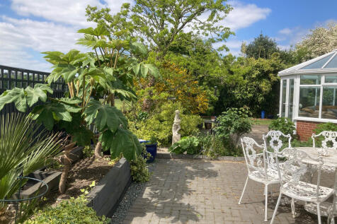 garden 1