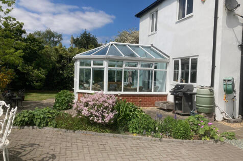 garden 2