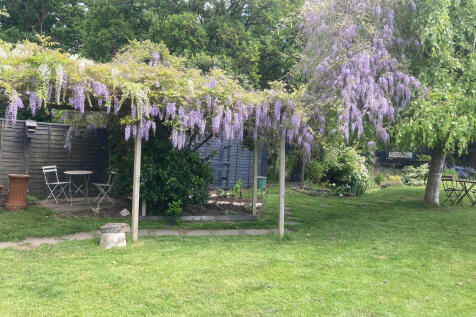 garden 5