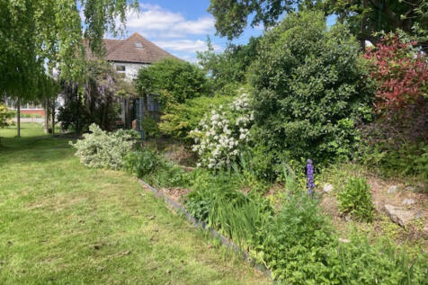 garden 6