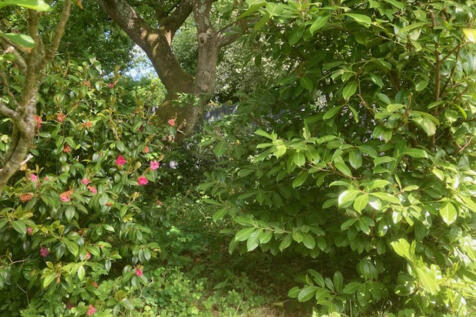 garden 7