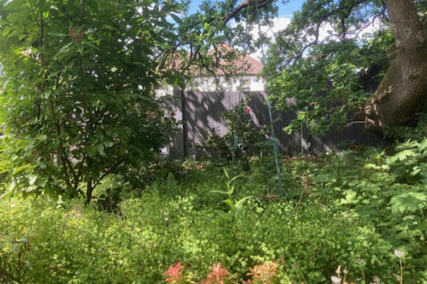 garden 8