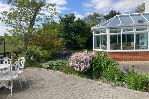 garden 10