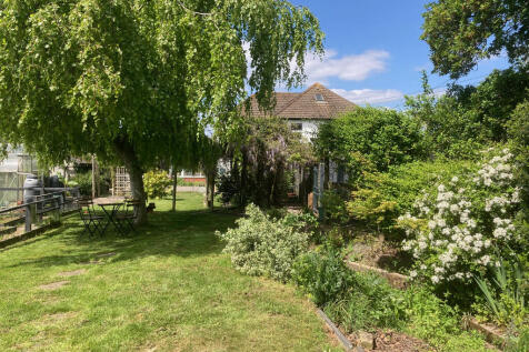 garden 11