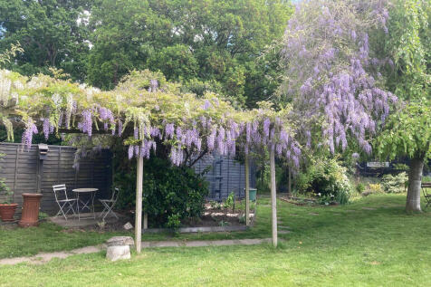 garden 12