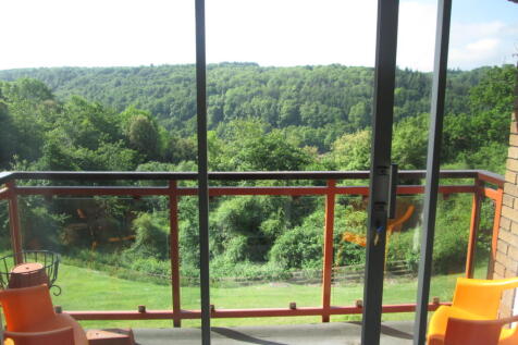 Photo 07