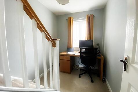 Study Area