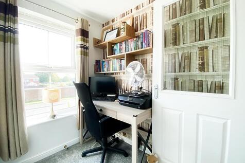 Study Area