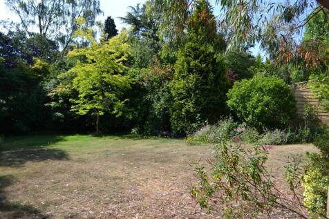 Property Image 13