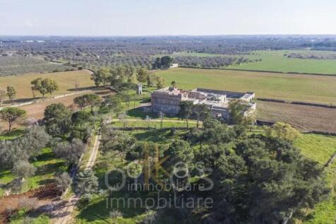 Property Image 43