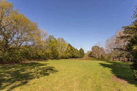 Landscape (3)