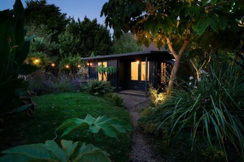 back of garden night