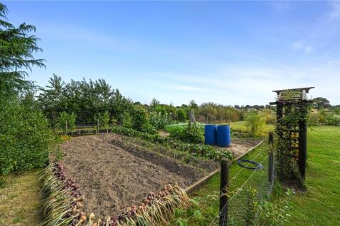 Vegetable Garden