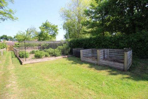 Veggie Patch