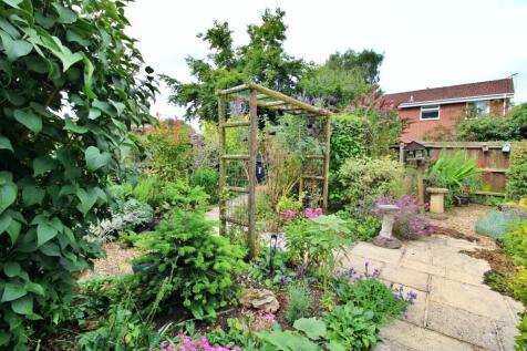 Garden 3