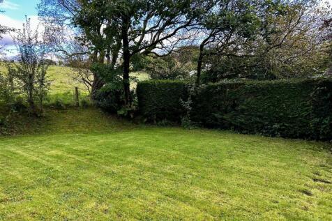 Garden (7).jpeg