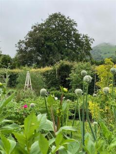 IMG_1224 (1).jpeg