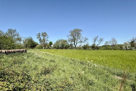 IMG_0611.JPG