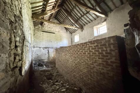 IMG_7192.jpeg