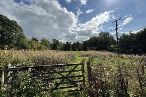 IMG_9106.jpeg