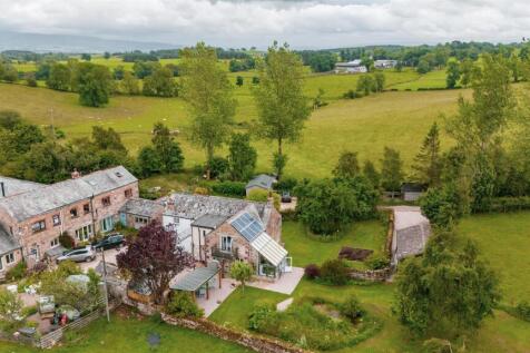 DJI_20250704102638_0109_D.jpg