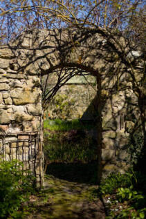Property Image 31