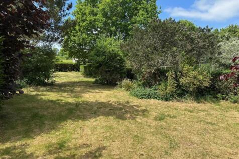 Garden.jpg
