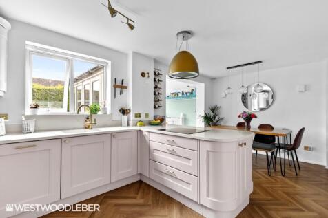 BorrellClose_5.jpg