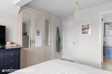 BorrellClose_20.jpg