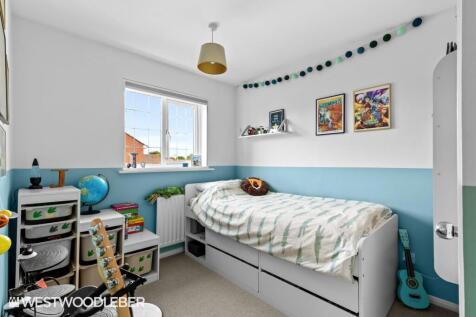 BorrellClose_12.jpg