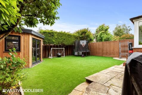 BorrellClose_22.jpg
