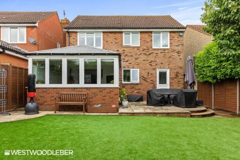 BorrellClose_24.jpg