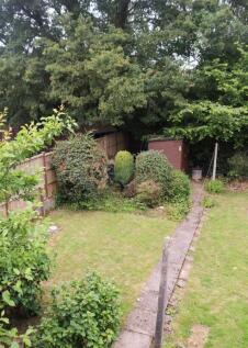 rear garden.jpg