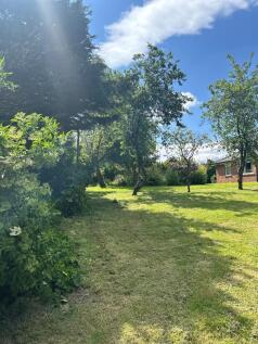 Current Garden