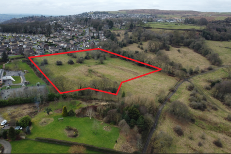 Red Edged Aerial