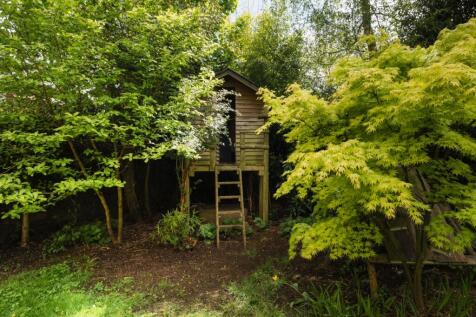 Tree House