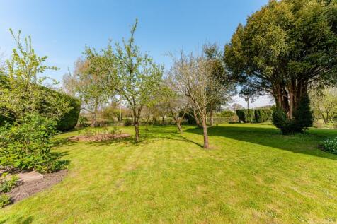 Orchard