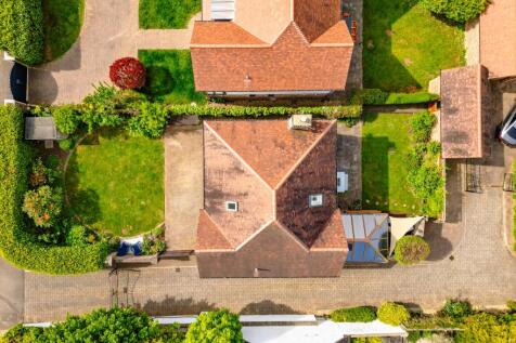 Plot View
