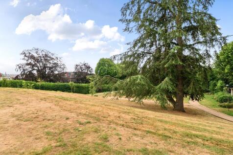 Communal gardens 2
