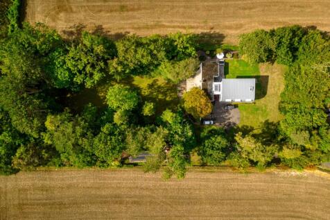 Aerial view of garden