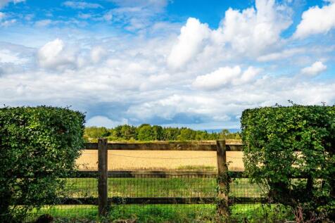 Rural views