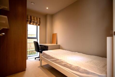 Bright BT6A4931.jpg