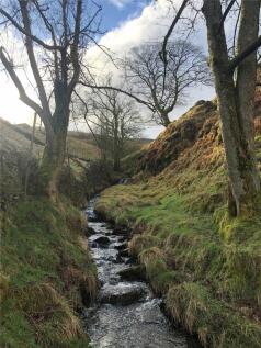 Stream