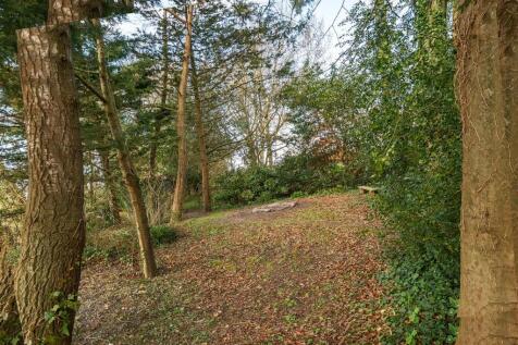 Copse