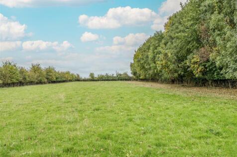 Paddock (available by separate negotiation)