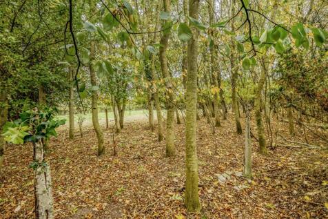 Copse (available by separate negotiation)