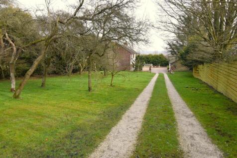 Garden/Driveway