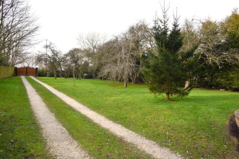 Garden/Driveway